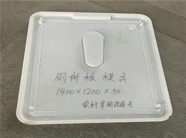 侧所盖板模具.jpg