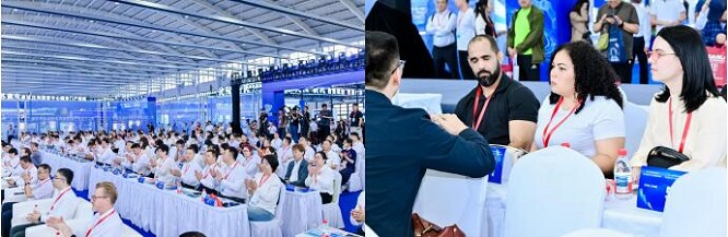 1763295336436001454.jpg 4.jpg