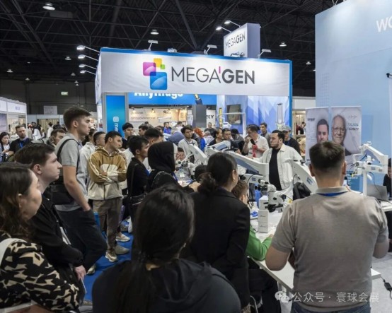 1765105353217015756.jpg 3.jpg